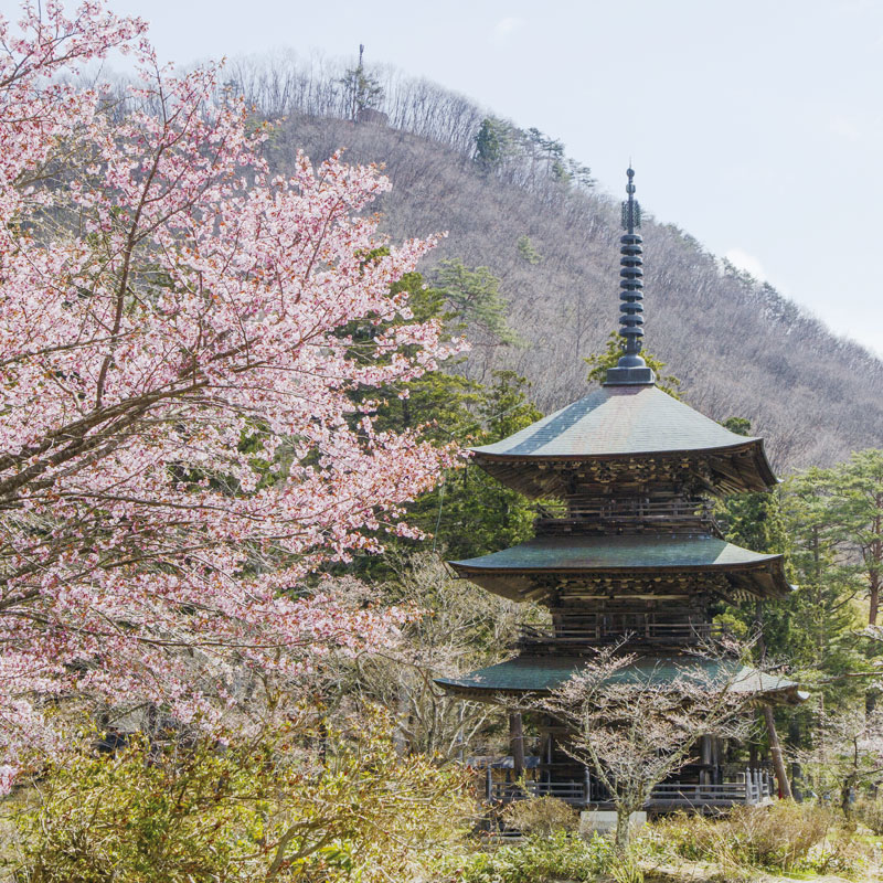 高畠町 安久津八幡神社